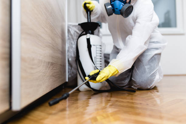 Best Flea Control Services  in Ladue, MO