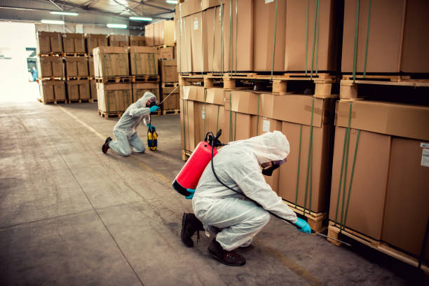 Best Pest Removal Services  in Ladue, MO