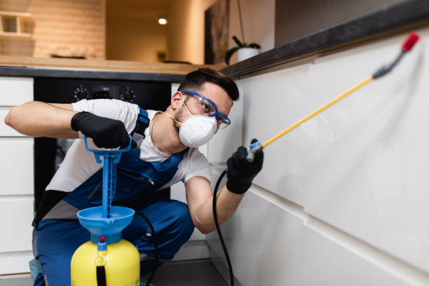 Best Local Pest Control Services  in Ladue, MO