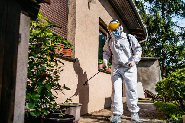 Best Pest Prevention Services  in Ladue, MO