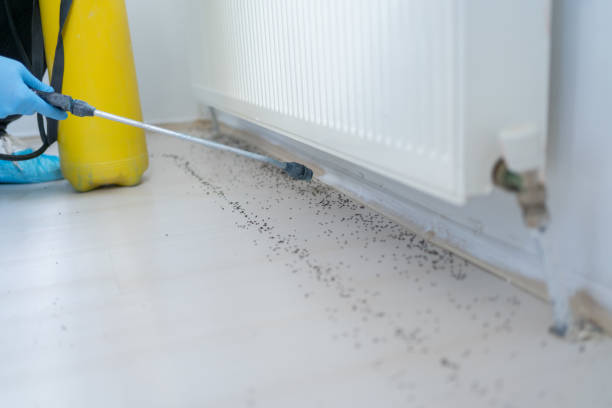 Pest Prevention Services in Ladue, MO